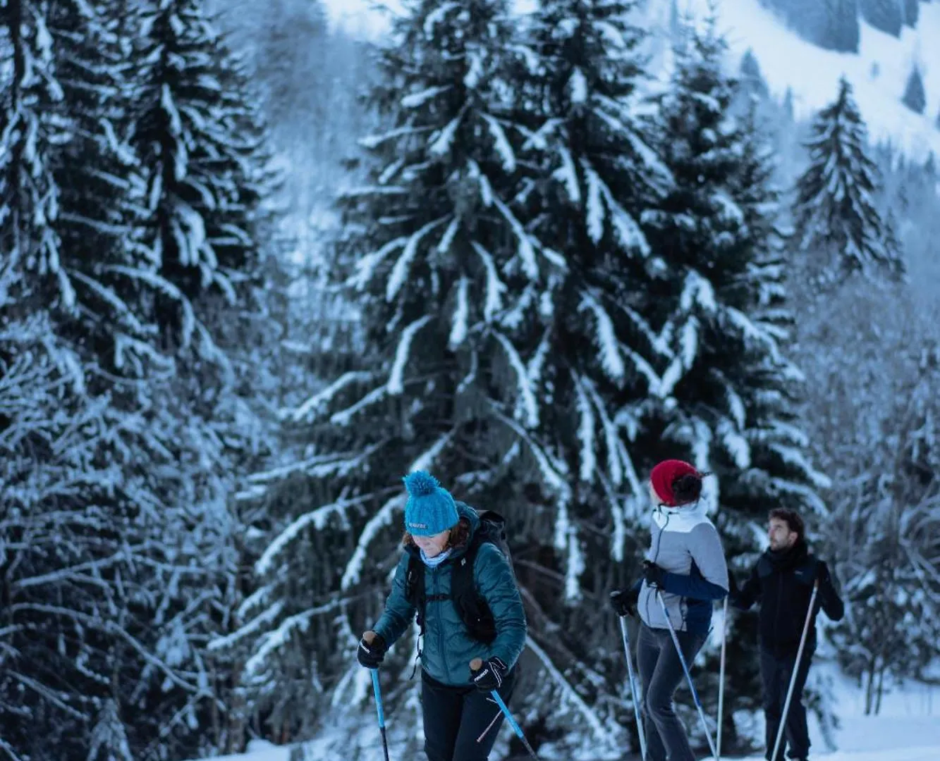 Chalet 1864 Le Grand-Bornand